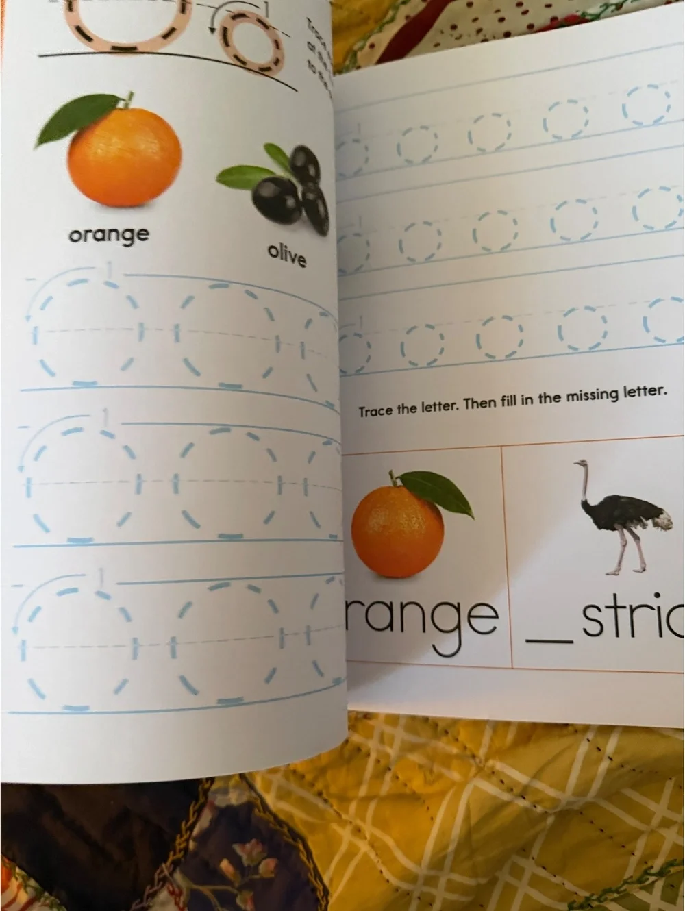 My First Learn-to-Write Workbook by Crystal Radke for Ages 3+